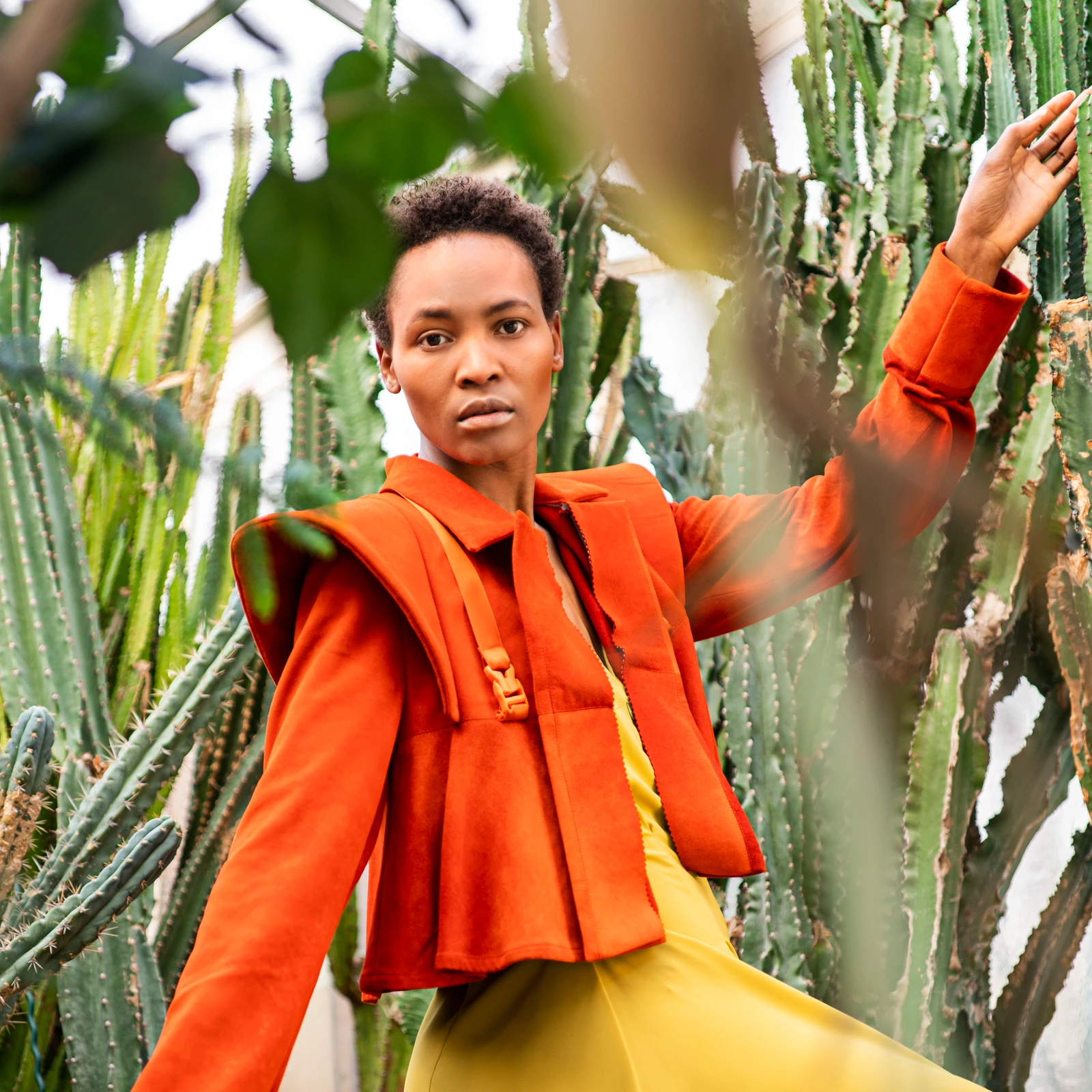 DSC08767.jpg